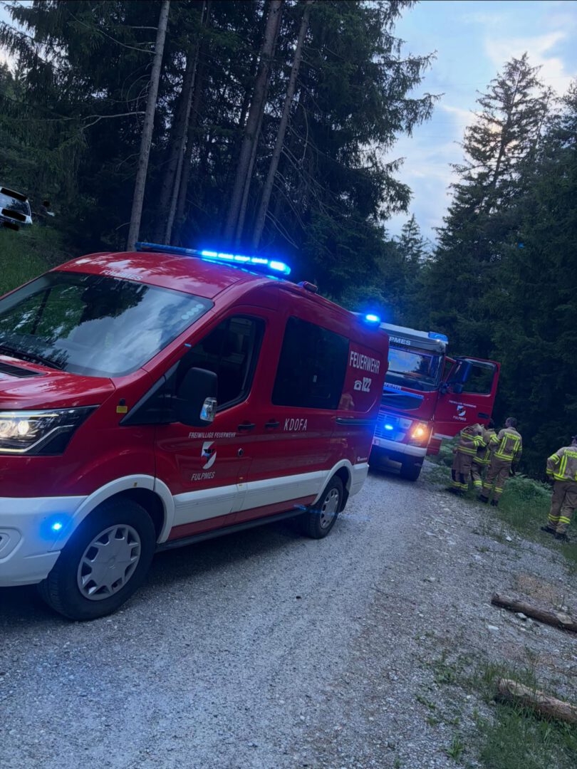 21.06.2026 - 19:58

Sirene/Sammelruf
A2-Brand Wald: Blutschwitzerkapelle, Fulpme…